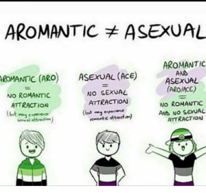 Sexual Preferences and Gender Identities: Your ultimate guide to all types
