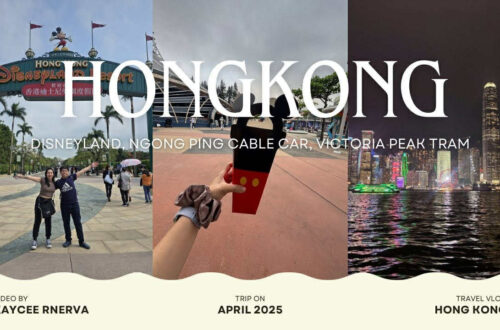 HK Travel Log Disneyland