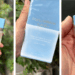 Is JP Fragrance Shop legit A D&G Light Blue review